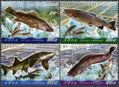 КНДР. 2020. Разведение рыбы в Северной Корее (Квартблок. MNH OG)