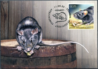 Эстония. 2020. Чёрная крыса (Rattus rattus) (Картмаксимум. Mint)
