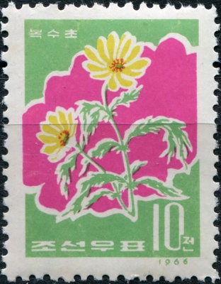 КНДР. 1966. Адонис амурский (Adonis amurensis) (Почтовая марка. MNH OG)