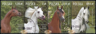 Польша. 2007. Польские арабские скакуны (Сцепка. CTO Гашеная)