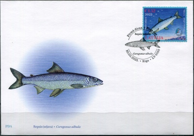 Латвия. 2023. Европейская ряпушка (Coregonus albula) (Конверт Первого Дня. Mint)