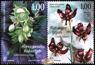 Босния и Герцеговина. 2014. Лилия кудреватая и Морозник (Сцепка. MNH OG)