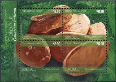 Папуа Новая Гвинея. 2019. Свежие ядра орехов канариум (Блок. MNH OG)