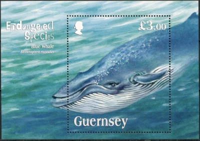 Гернси. 2011. Голубой кит (Блок. MNH OG)