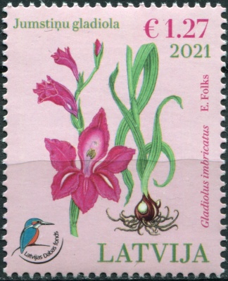 Латвия. 2021. Гладиолус черепитчатый (Gladiolus imbricatus) (I) (Почтовая марка. MNH OG)