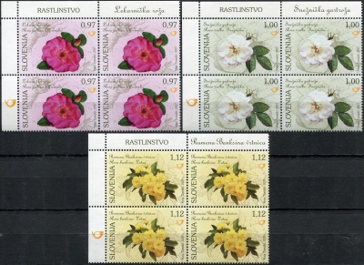 Словения. 2017. Флора Словении.Розы (Серия Квартблоков. MNH OG)