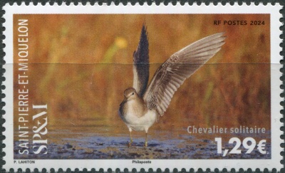 Сен-Пьер и Микелон. 2024. Улит-отшельник (Tringa solitaria) (Почтовая марка. MNH OG)