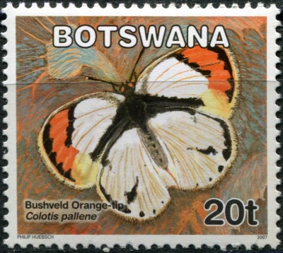 Ботсвана. 2007. Бабочка-белянка Бушвельда (Colotis pallene) (Почтовая марка. MNH OG)