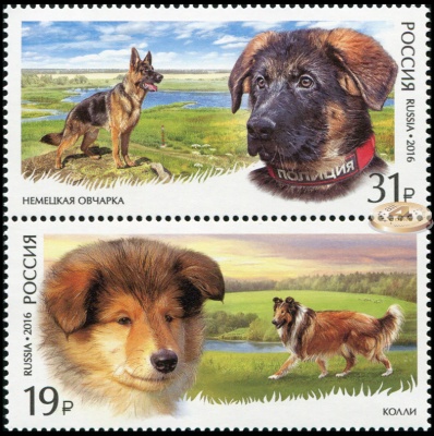 Россия. 2016. Служебные породы собак (Сцепка. MNH OG)