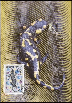 Словакия. 2009. Огненная Саламандра (Картмаксимум. M)