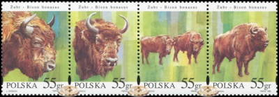 Польша. 1996. Зубры (Сцепка. MNH OG)