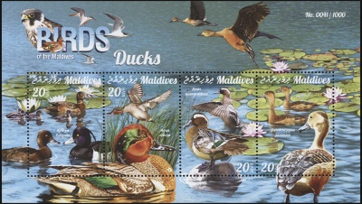 Мальдивы. 2015. Утки (М.Лист. MNH OG)