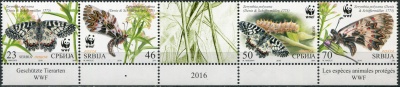 Сербия. 2016. Бабочка Зеринтия Поликсена. T3 (Сцепка. MNH OG)
