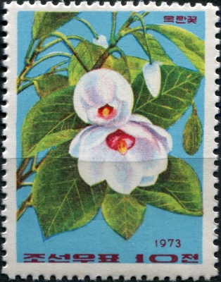 КНДР. 1973. Жасмин (Почтовая марка. MNH)
