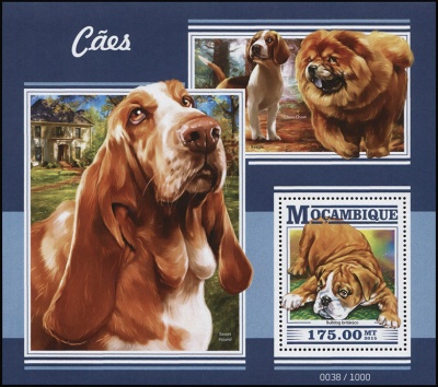 Мозамбик. 2015. Собаки (Блок. MNH OG)