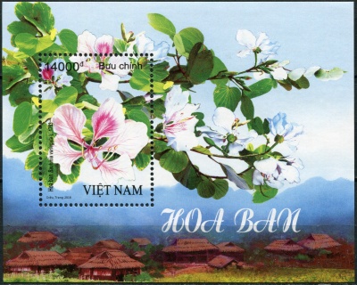 Вьетнам. 2018. Орхидейное дерево (Баухиния пёстрая) (Блок. MNH OG)