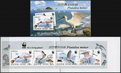КНДР. 2009. Малая колпица (Platalea minor) (Марочный буклет. MNH OG)