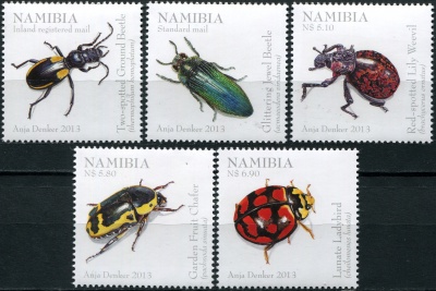 Намибия. 2013. Жуки Намибии (Серия. MNH OG)