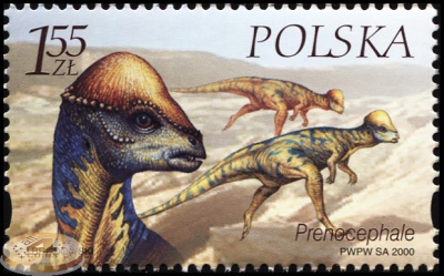 Польша. 2000. Преноцефал [Prenocephale] (Почтовая марка. MNH OG)
