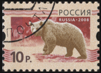 Россия. 2008. Медведь на темно-красном фоне (Почтовая марка. CTO Гашеная)