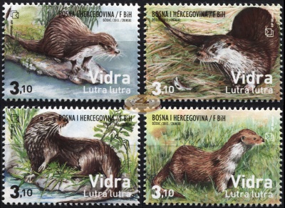 Босния и Герцеговина. 2013. Выдры (Серия. MNH OG)