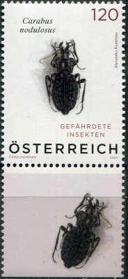 Австрия. 2024. Чёрный ямчатый жук (Carabus nodulosus) (V) (Почтовая марка. MNH OG)