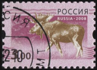 Россия. 2008. Лось на розовом фоне (Почтовая марка. CTO Гашеная)