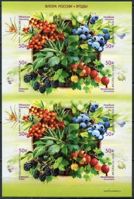 Россия. 2021. Флора России. Ягоды (Малый лист. MNH OG)