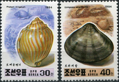 КНДР. 1994. Моллюски (Серия Почтовых марок. MNH OG)