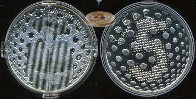 Нидерланды. 5 евро. 2005 (Proof. Серебро)