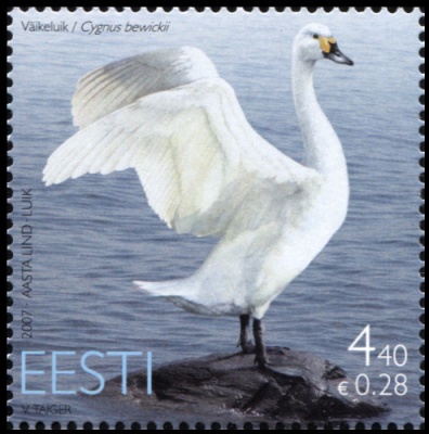 Эстония. 2007. Малый лебедь (Cygnus columbianus bewickii) (Почтовая марка. MNH OG)