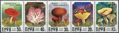 КНДР. 1991. Грибы (Сцепка. MNH OG)