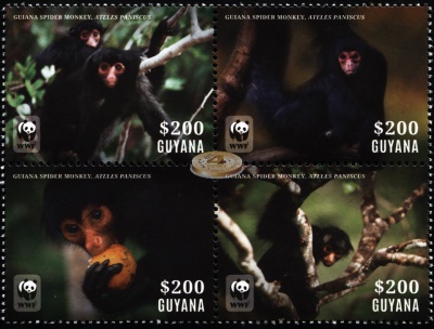 Гайана. 2014. Краснолицая коата [Ateles paniscus] (Квартблок. MNH OG)