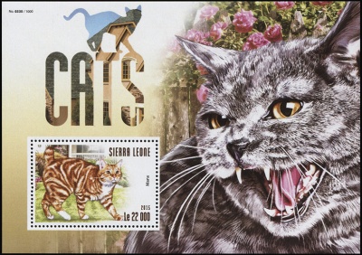 Сьерра-Леоне. 2015. Кошки (Блок. MNH OG)