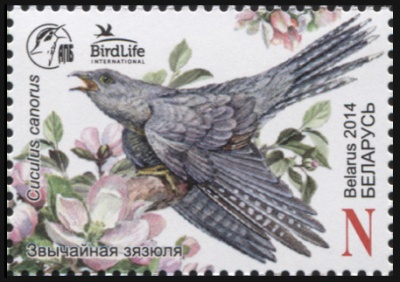 Беларусь. 2014. Обыкновенная кукушка (Почтовая марка. MNH OG)