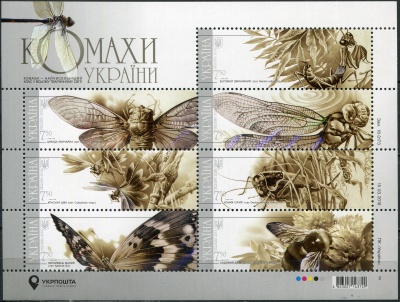 Украина. 2018. Насекомые Украины (Малый лист. MNH OG)