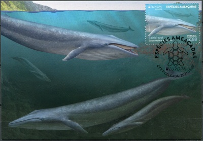 Азорские острова. 2021. Синий кит (Balaenoptera musculus) (Картмаксимум. Mint)