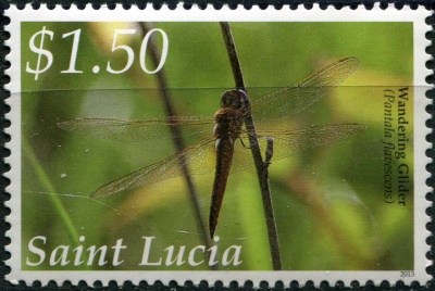 Сент-Люсия. 2013. Бродяжка рыжая (Pantala flavescens) (Почтовая марка. MNH OG)