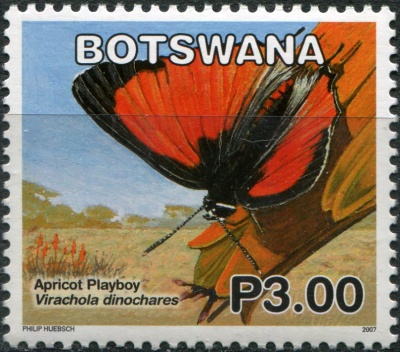 Ботсвана. 2007. Бабочки: Абрикосовый Плейбой (Virachola dinochares ) (Почтовая марка. MNH OG)