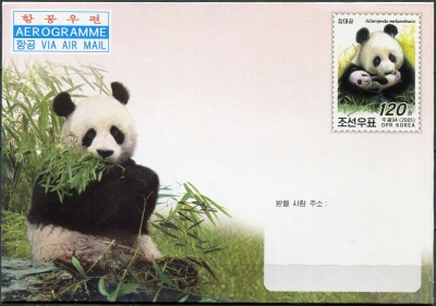 КНДР. 2005. Гигантская панда (Ailuropoda melanoleuca) (Аэрограмма. Mint)