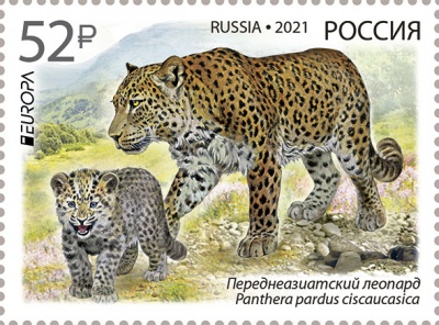 Россия. 2021. Исчезающие виды животных. Переднеазиатский леопард (Почтовая марка. MNH OG)