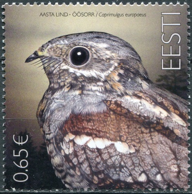 Эстония. 2019. Обыкновенный козодой  (Caprimulgus europaeus) (Почтовая марка. MNH OG)