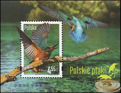 Польша. 2013. Обыкновенный зимородок (Блок. MNH OG)