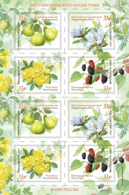 Россия. 2025. Флора России. Растения Крымского полуострова (Малый лист. MNH OG)