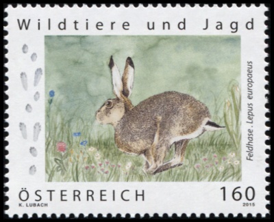 Австрия. 2015. Европейский заяц (Почтовая марка. MNH OG)
