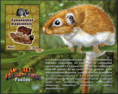 Перу. 2013. Доисторические животные - Canaanimys maquiensis (Блок. MNH OG)