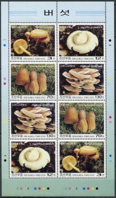 КНДР. 2003. Различные грибы (Малый лист. MNH OG)