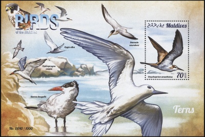 Мальдивы. 2015. Крачковые (Блок. MNH OG)