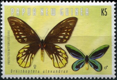 Папуа Новая Гвинея. 2002. Орнитоптера королевы Александры (Почтовая марка. MNH OG)