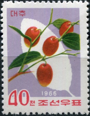 КНДР. 1966. Яблоня ягодная (Malus baccata) (Почтовая марка. MNH)
